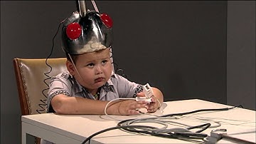 Wilco en de leugendetector | Alles Kids | Afl. 3