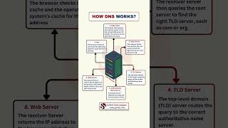 What Happens When You Type Google In Your Browser? Lets Find Out