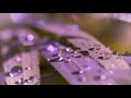 Melodic Progressive House mix Vol 64 (Sparkle In The Rain)