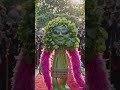 dhaniya on top #viral #explore #youtubeshorts #funny #growth