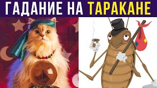 Приколы. Гадание на таракане) | Мемозг #332