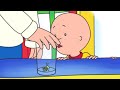 Caillou em Português ★ Caillou e o Grilo Barulhento ★ Compilação de Episódios ★ Desenho Animado