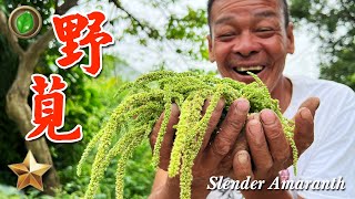 野味63集 | 野莧菜 | 油潑蒜蓉 吻仔魚羹 | Slender Amaranth | 萍哥Pinger