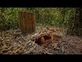 Building The Most Secret Underground Bamboo House under water well