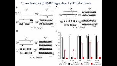 Insights into inositol 1,4,5-trisphosphate receptor structure and function