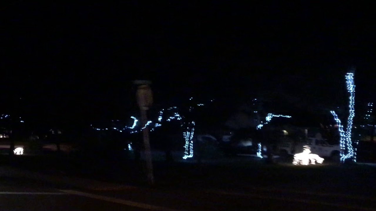 newspaper Shalimar celebrates holidays with lighted trees