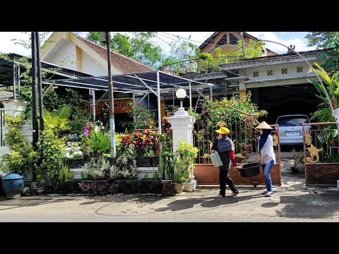 Video: Menyiram Bawah Tanaman Berpasu - Cara Menyiram Tumbuhan Dari Bawah