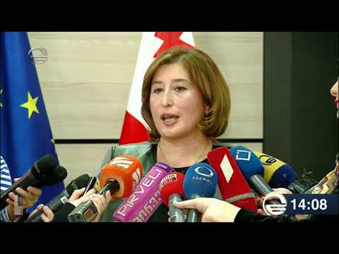 ჟვანიამ დიპლომატებსა და საერთაშორისო ორგანიზაციებს ცესკოს შუალედური ანგარიში გააცნო