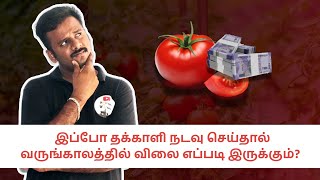 தக்காளி விலை சதம் அடிக்குமா?