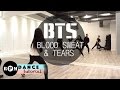 Bts blood sweat  tears dance tutorial chorus