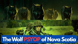 The Bizarre 2020 Canadian Military Wolf PSYOP in Nova Scotia