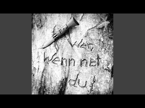 wer, wenn net du (instrumental)