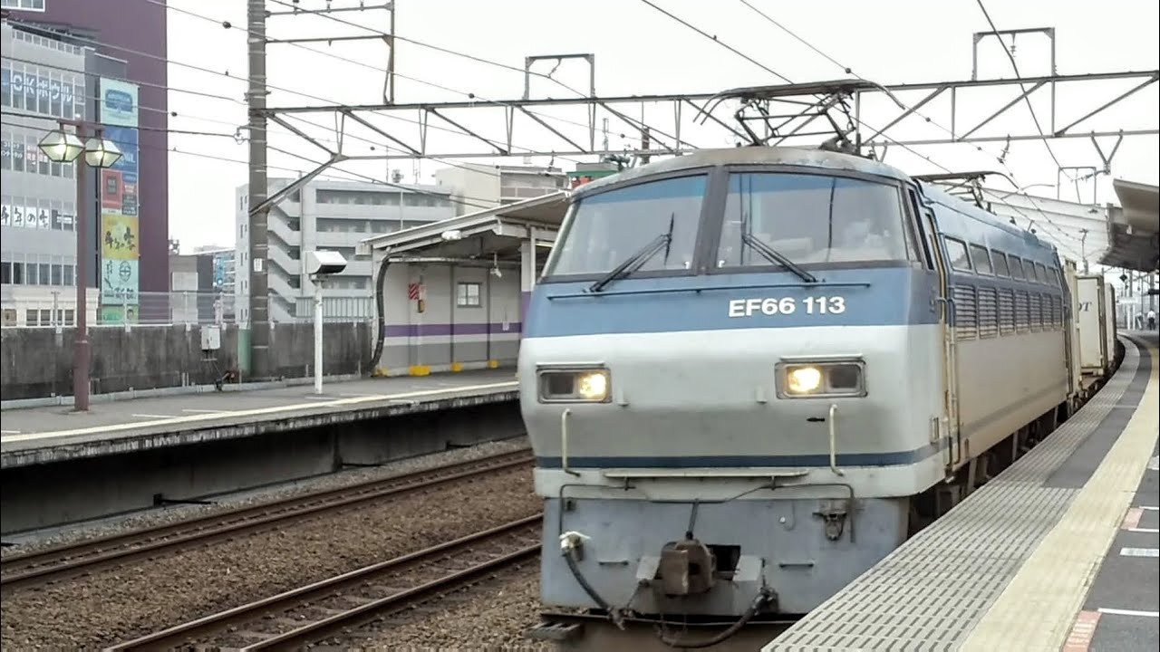 武蔵野線 金太郎トップナンバーと桃太郎とef66 113 今朝の貨物列車 Jr Freight Youtube