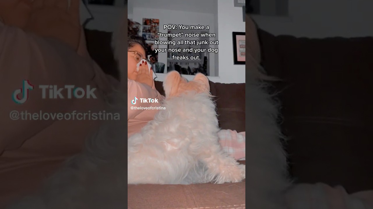 TikTok Loud Honking Nose Blowing #11