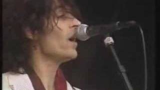 The Fatal Flowers  live at Parkpop (Den Haag, NL, june '90)