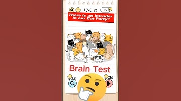 Brain Test 22"intruder in cat party? #shorts #gaming #viral #games #shortvideo #braintest