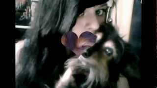 Download lagu Charly i love you Charly i love you