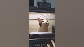 Popcat is a SCAM