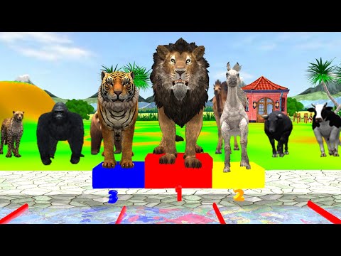 Counting Numbers Zoo