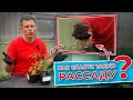 Рассада оживает на глазах. Как спасти рассаду?