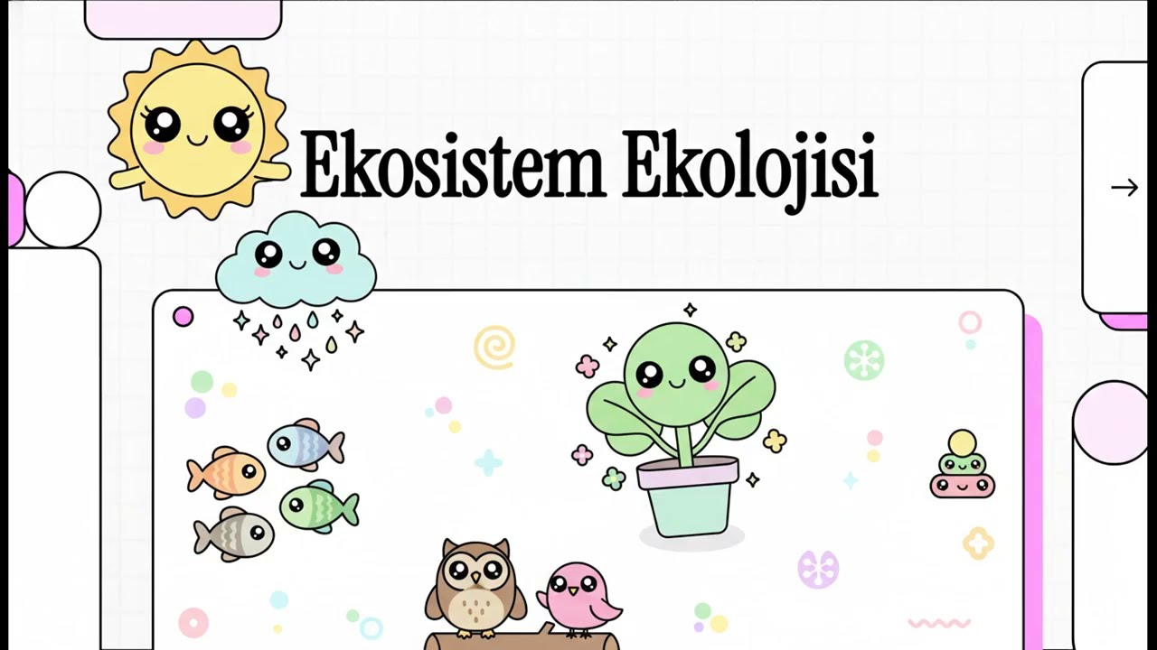 Besin zinciri besin ağı besin piramidi biyokütle ve enerji piramidi   Biyoloji---Sinavio.co----