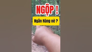 Đất Dầu Tiếng I Bán gấp lô đất Ngộp kp6 - Dầu Tiếng 10 × 60 giá rẻ #kimbds