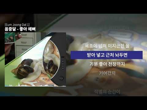 음중달 - 좋아 예뻐