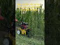 Máy xới đất, cắt cỏ trục băm chạy dầu 178F.