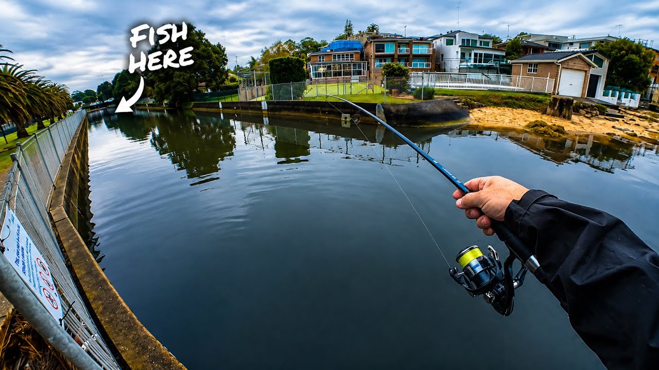 Cheap baits catch big fish! | Sydney land based session