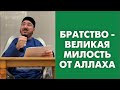Братство - великая милость от Аллаха