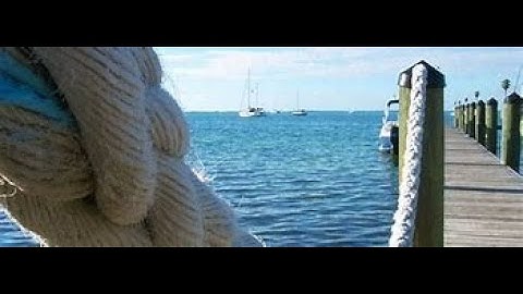 Audit of Specific Balances - P&L, Directors and Equity.||ACCA||AA||F8