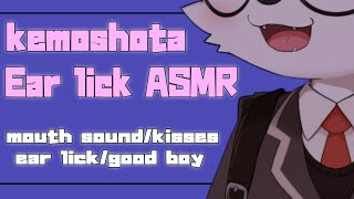 【Furry ASMR】ケモショタがみんなを癒す配信。【ケモノ系VTuber】【Ear licking/good boy/mouth sound】
