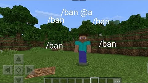 How to ban a player in Minecraft PE