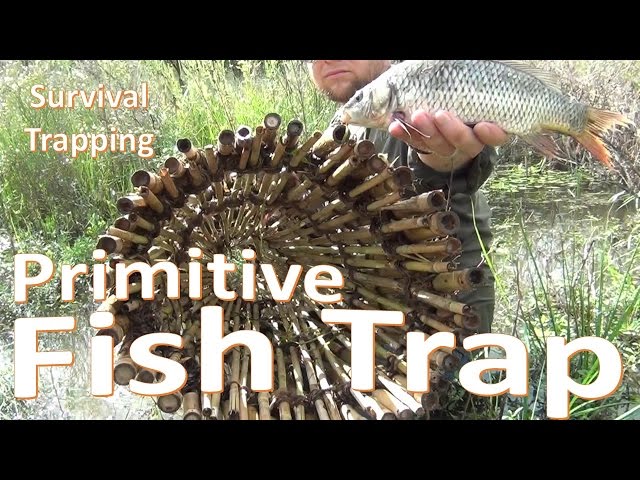 Diy #primative #survival #fishtrap