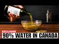 6 Olive Oils To Skip And 4 That Are Actually Olive Oil in Canada