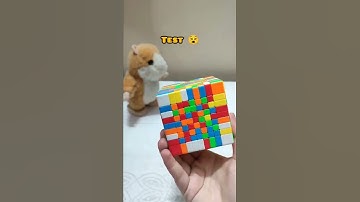 The class vs homework vs test funny video #trending #funny #rubikscube #schoollife #shorts