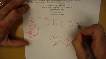 BI 208 CALCULATIONS Pour Plates Question with 1:100 dilutions