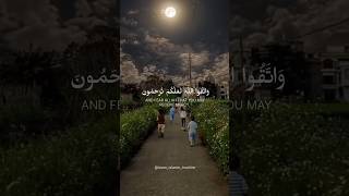 Surah Al-Hujurat (49:10) #learn_islamic_trueline #isalamicshorts #surah #quran #shorts  #reels