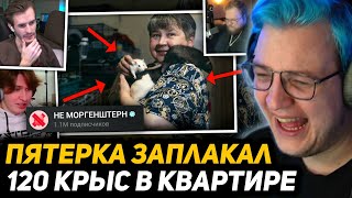 видео: ПЯТЁРКА ПОСТАВИЛ НА УШИ ВЕСЬ ИНТЕРНЕТ | МАЛЕНЬКИЕ ЛАПКИ в ТВОИХ РУКАХ - Помоги Крысиной Маме Галине! картинка: ПЯТЁРКА ПОСТАВИЛ НА УШИ ВЕСЬ ИНТЕРНЕТ | МАЛЕНЬКИЕ ЛАПКИ в ТВОИХ РУКАХ - Помоги Крысиной Маме Галине!
