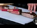 Understanding Food Texture and Elasticity