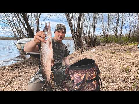 CHECKING NETS DURING A FLOOD. FISH ARE ON THE MOVE. REPLACING NETS WITH NEW, HANDMADE ONES.
