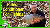 Best carp fishing particle bait ever: Super cheap! - HqDefault