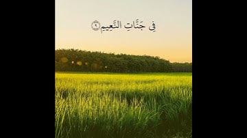 تلاوة خاشعة تريح القلب بصوت القارئ شريف مصطفى | إِنَّ الَّذِينَ آمَنُوا وَعَمِلُوا الصَّالِحَاتِ