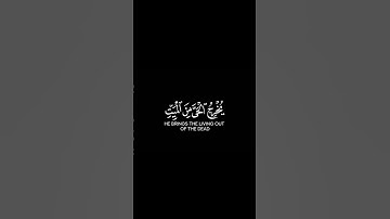 فسبحان الله حين تمسون|القارئ #اسلام_صبحي #كرومات_قرآن #شاشه_سوداء #quotes
