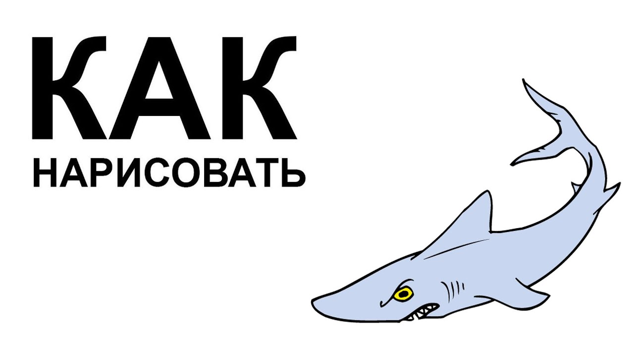 Как нарисовать в 3д акулу поэтапно Как нарисовать в 3д акулу поэтапно