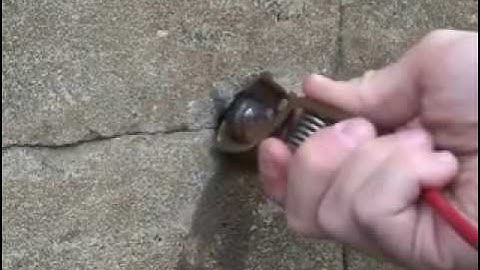 Standard Test Method for Half-Cell Potentials