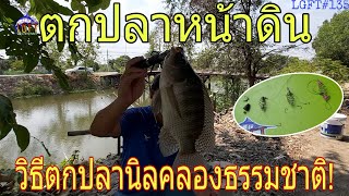 วิธีตกปลานิลคลองธรรมชาติ! LGFT#135