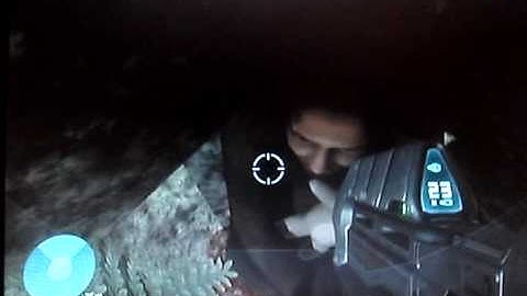 Family Of Monkeys Halo 3