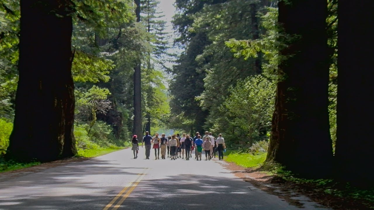 Stanford Law students work with and learn from Yurok tribal leaders