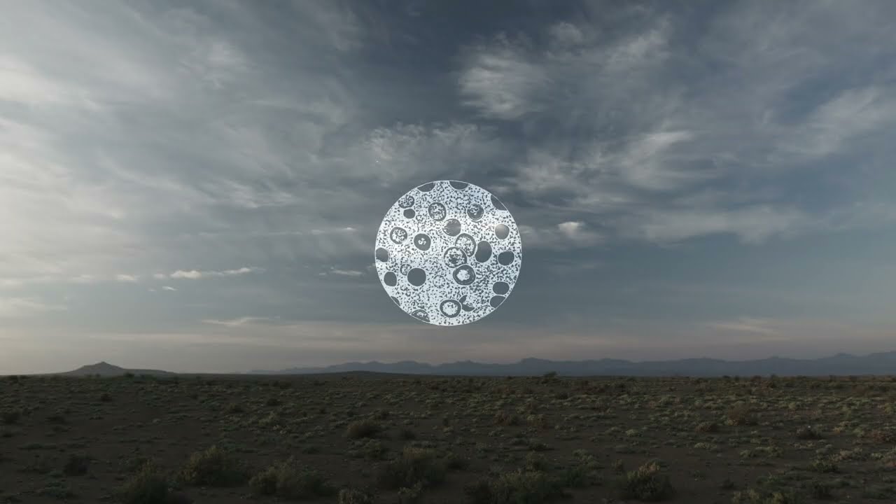 Wêreld means World.